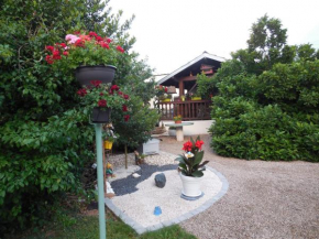 Gîte chaleureux avec terrasse, proche des activités touristiques et nature des Vosges - FR-1-589-177